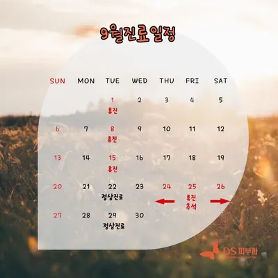 둔산DS피부과의원 — 업체가 네이버 플레이스에 올린 사진 2