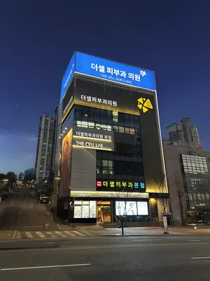 더셀피부과의원 — 업체가 네이버 플레이스에 올린 사진 1